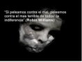 /album/fotogaleria-inicio/indiferencia-jpg/